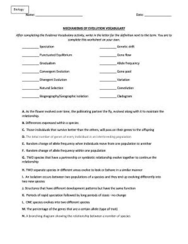 Evolution Vocabulary Worksheet PDF – Download Free Learning Resources