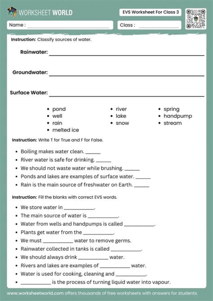 Free EVS Worksheets for Class 3 PDF – Download Now