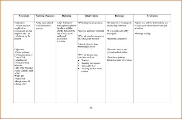 Examples of Nursing Care Plan PDFs for Real-World Practice