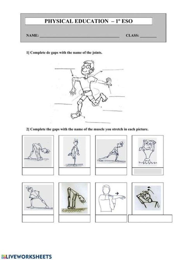 Free Printable PE Exercise Worksheets PDF for Physical Education