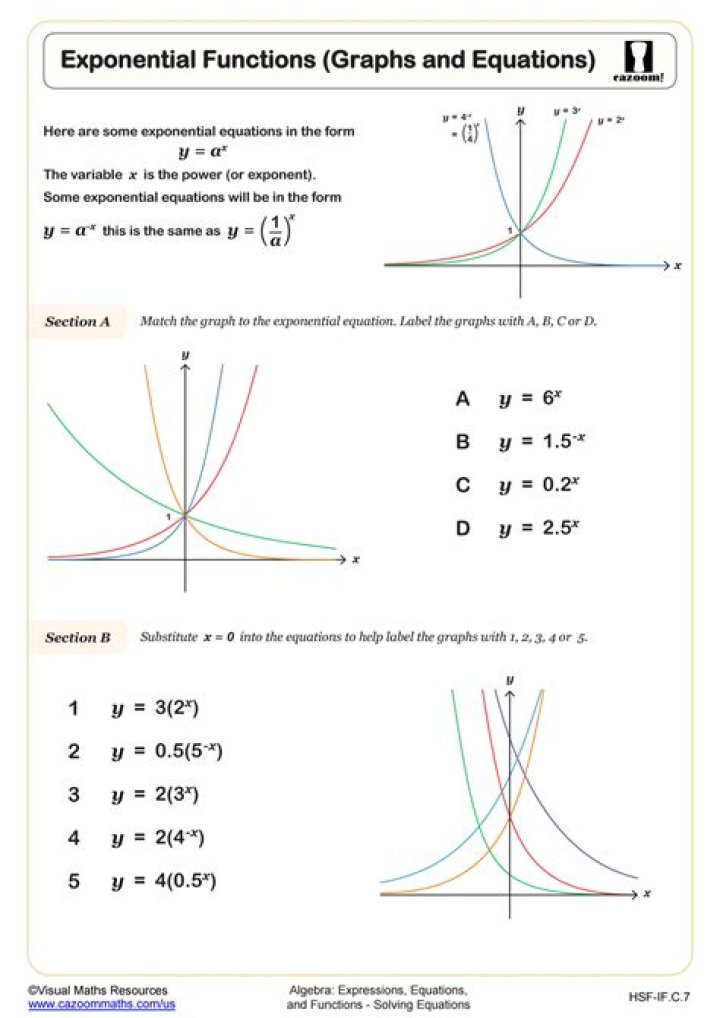 Exponential Functions Worksheet PDF with Answers - Instant Download