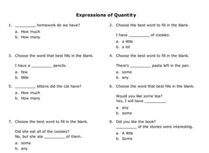 Expressions of Quantity Exercises PDF with Answers for Easy Practice