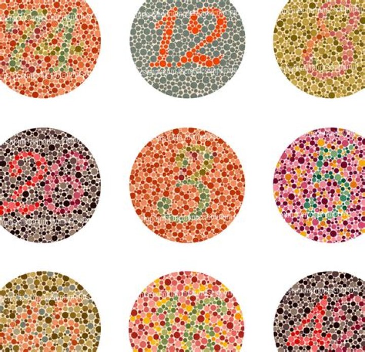 Eye Test Color Blind Chart PDF – Instant Download for Accurate Color Vision Screening