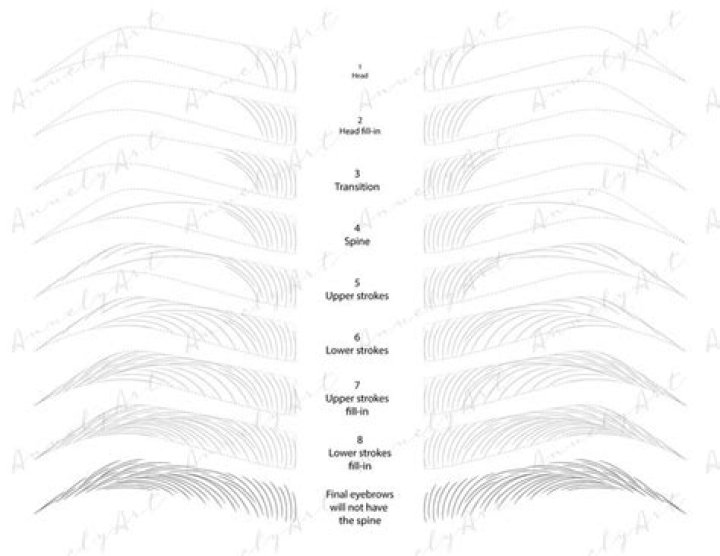 Eyebrow Practice Sheets PDF Free Download – Improve Your Brow Shape Today