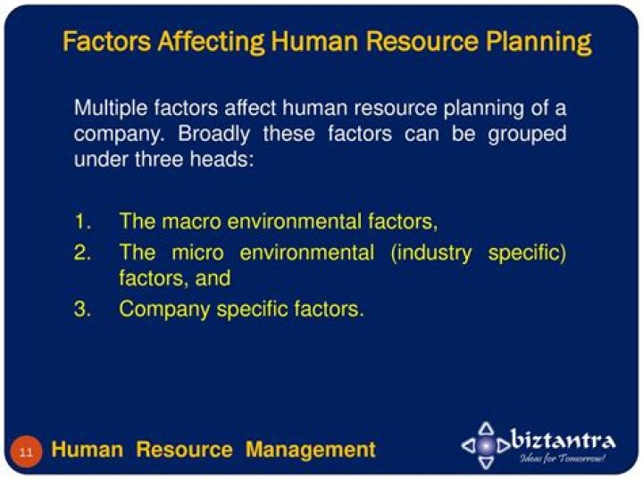Key Factors Affecting Human Resource Planning PDF Guide