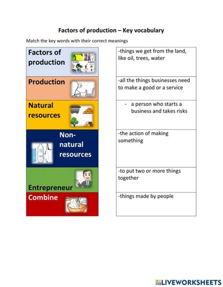 Factors of Production: Questions & Answers PDF Guide