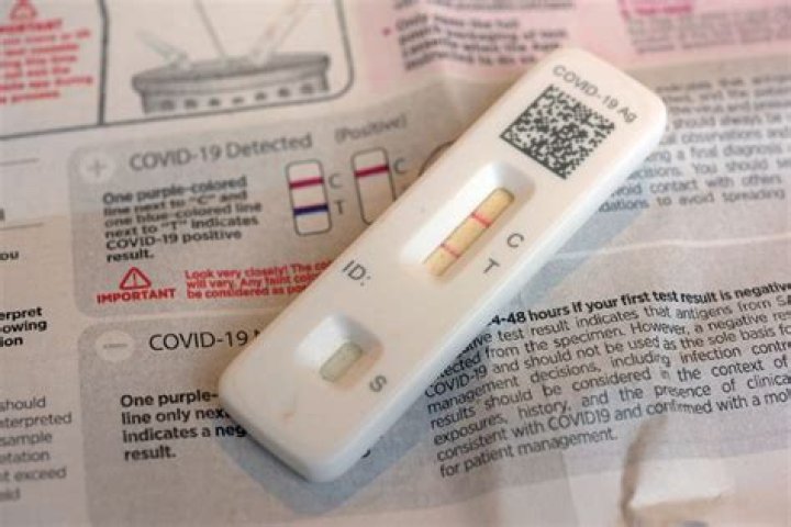 Fake COVID 19 Positive Test Results PDF – How to Spot Fraud
