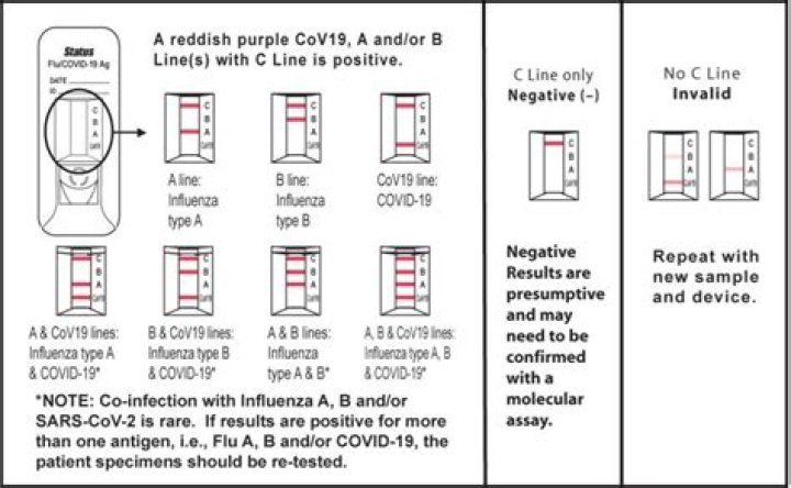Is the Fake Negative COVID Test PDF Trustworthy? Stay Informed
