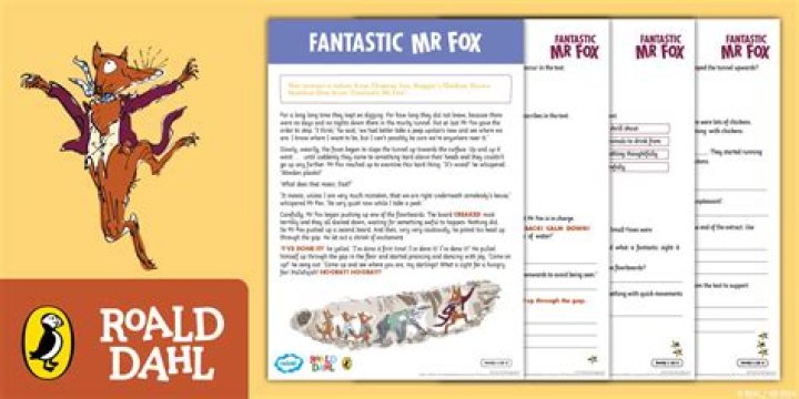 Fantastic Mr Fox: Questions & Answers PDF Guide
