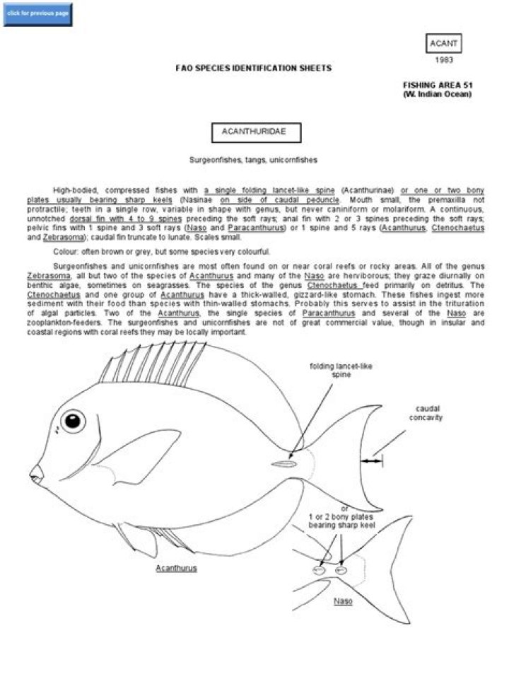 Fao Fish Identification Sheets PDF – Easy Reference Guide