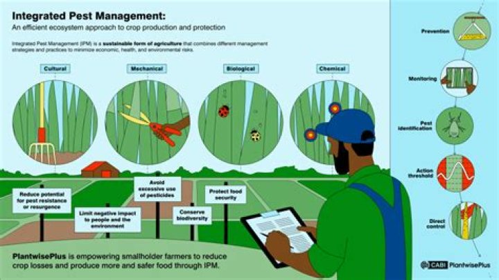 Fao Integrated Pest Management Guidelines PDF: Expert Control Strategies