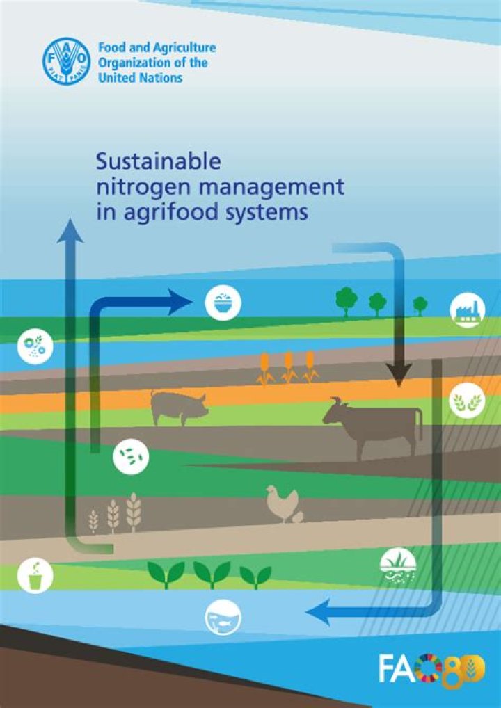 FAO Sustainable Nitrogen Management in Agrifood Systems 2025: Key Insights and Strategies