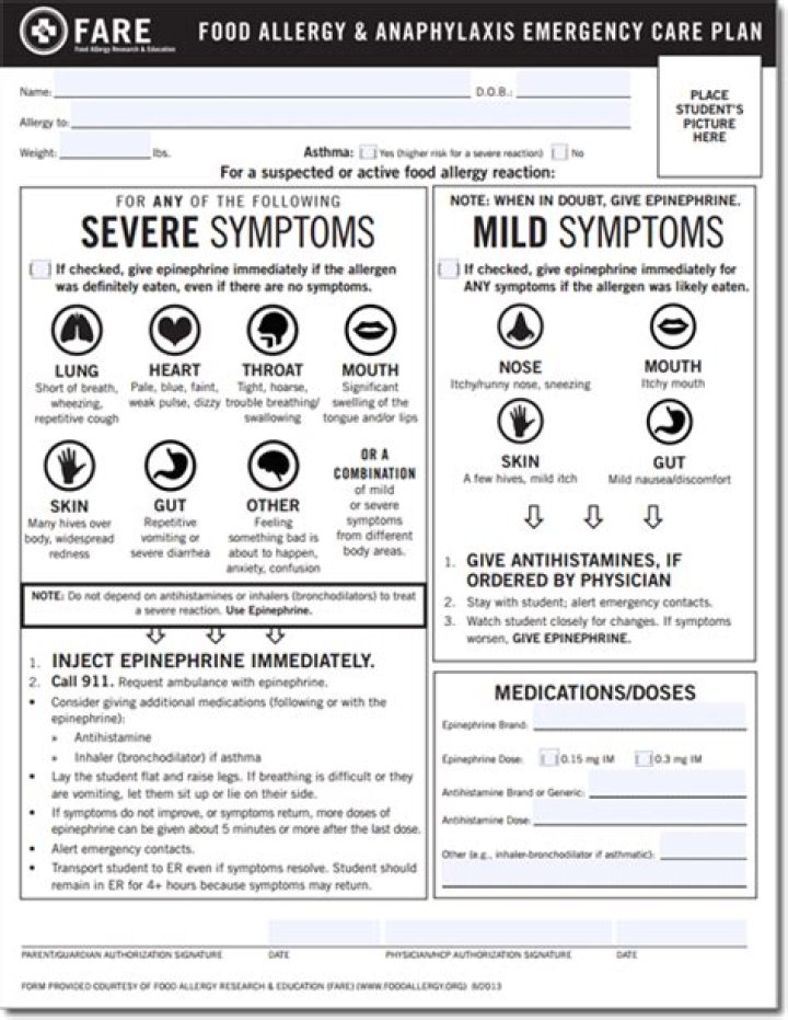Fare Allergy Action Plan PDF – Essential Guide for Safe Travel