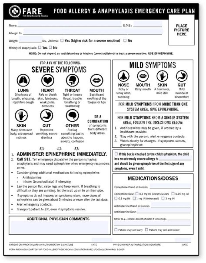 Free Fare Plan PDF for Smarter Travel Budgeting