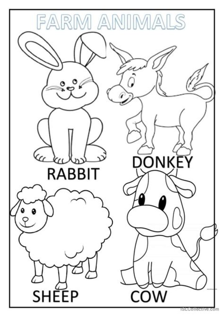 Free Farm Animals Worksheet for Kindergarten PDF