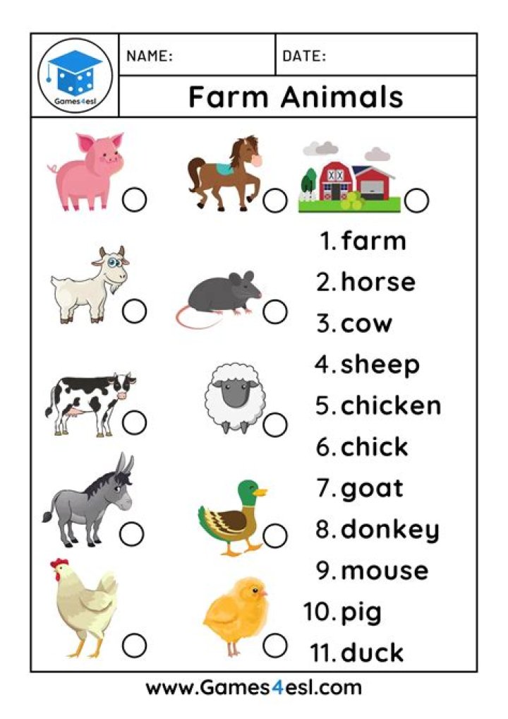 Free Farm Animals Worksheets for Preschoolers PDF Download