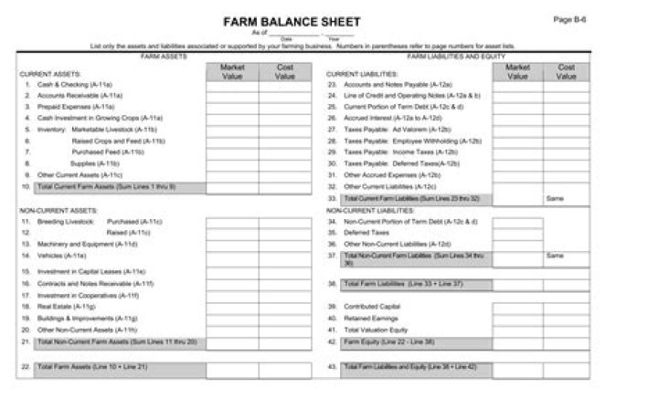 Farm Balance Sheet PDF: Essential Financial Reporting for Agricultural Businesses