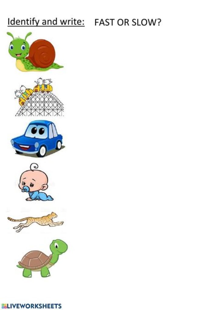 Fast and Slow Worksheets for Kindergarten PDF – Printable Early Learning Fun