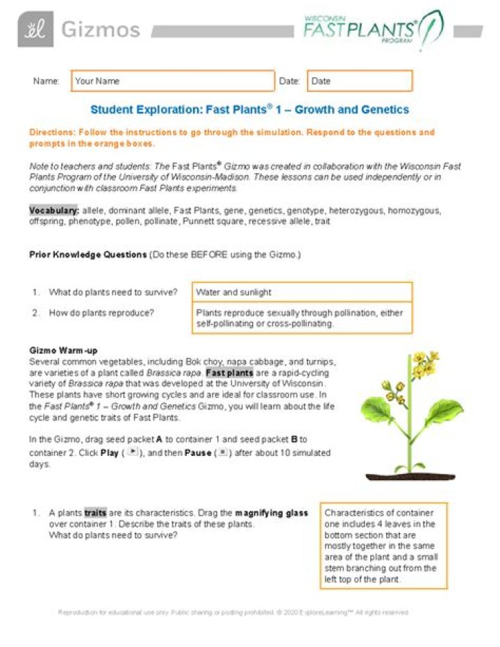 Fast Plants 1: Growth & Genetics Gizmo Answer Key PDF
