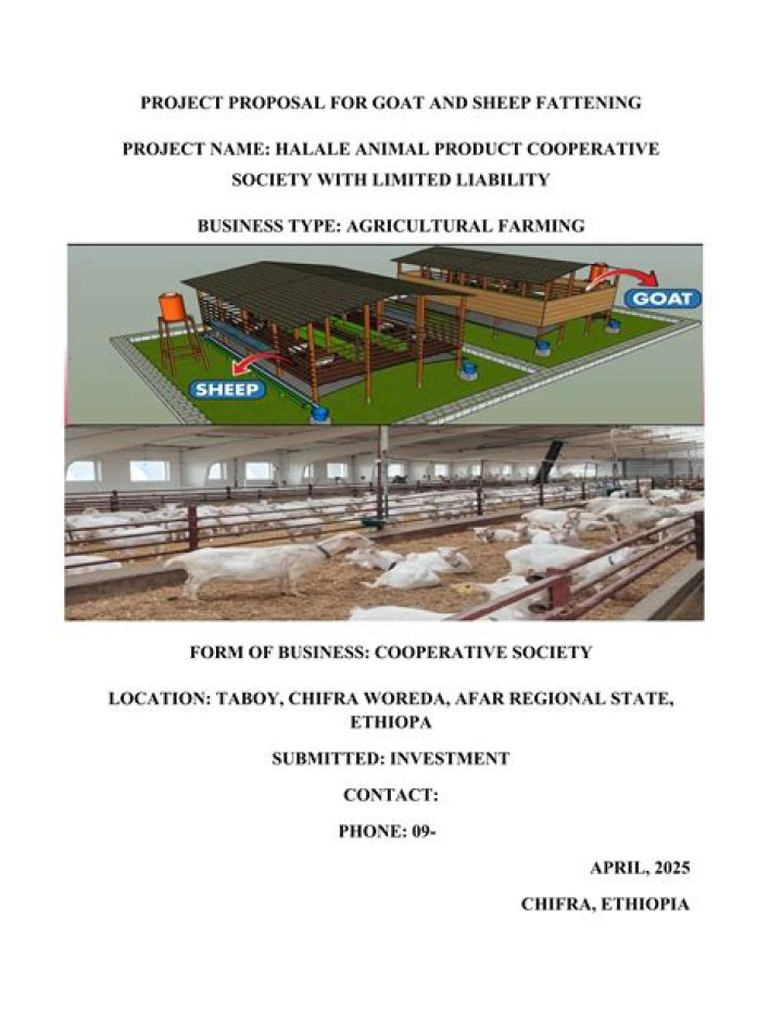 Fattening Business Plan in Ethiopia: PDF Guide for Farmers & Investors