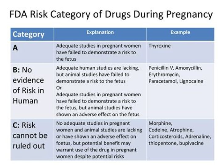 2022 FDA Pregnancy Category Drug List PDF: Complete Guide