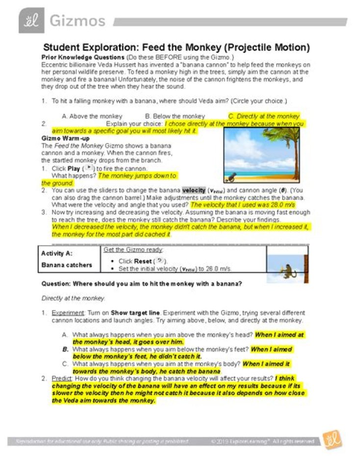 Feed the Monkey Gizmo Answer Key PDF – Solve Now