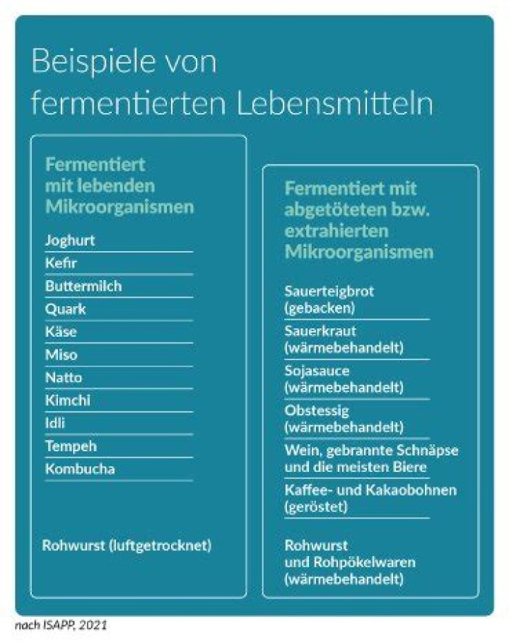 Fermentierte Lebensmittel Liste PDF – Übersicht & Tipps