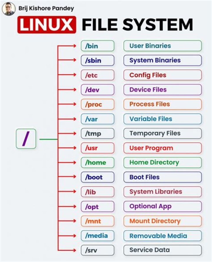 Master File Management in Linux OS: Expert PDF Guide