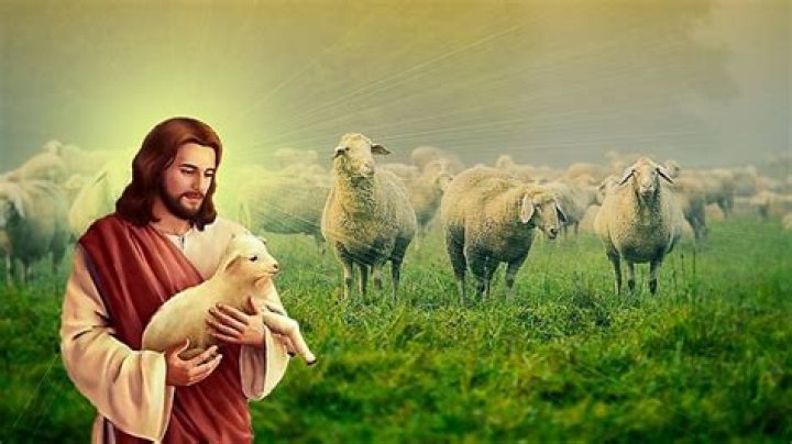 Test Jesus PDF: Spiritual Insights in Readable Format