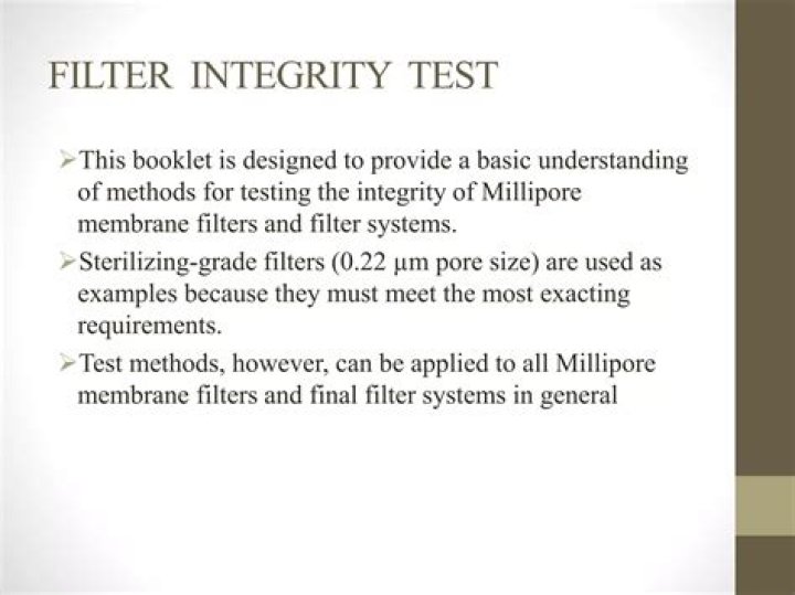 Filter Integrity Test PDF: Ensure Accurate Data Filtering