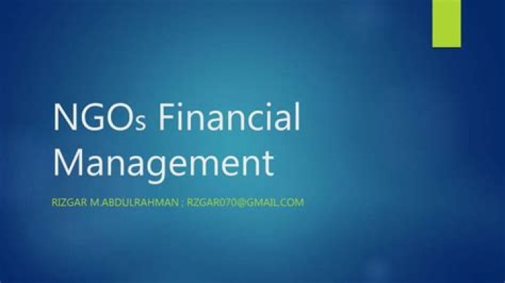 Financial Management for NGOs: Essential PDF Guide