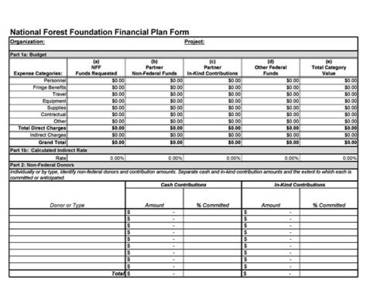 Financial Plan Example for Students PDF: Simplify Your Budget