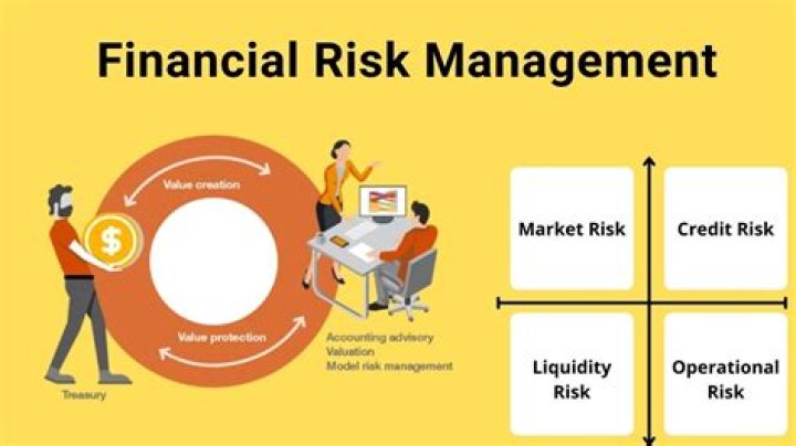 Financial Risk Management for Dummies: A Simple PDF Guide