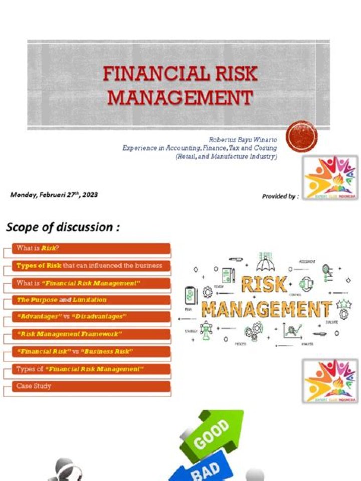 Master Financial Risk Management: Essential MBA Strategies PDF