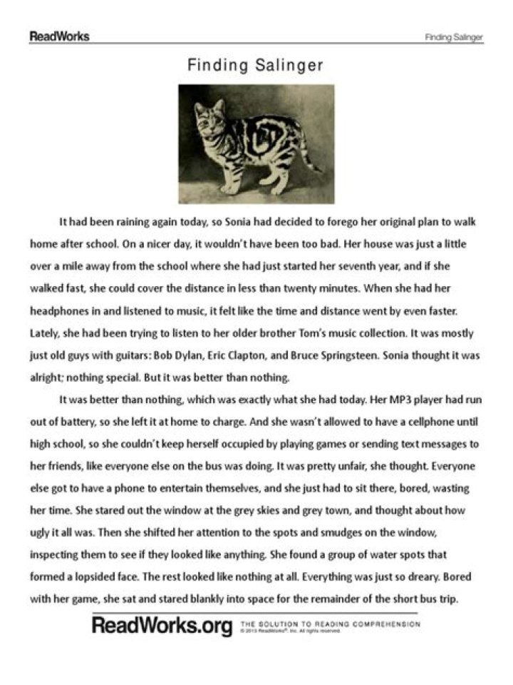 Finding Salinger Answer Key PDF: Free Guide & Solutions