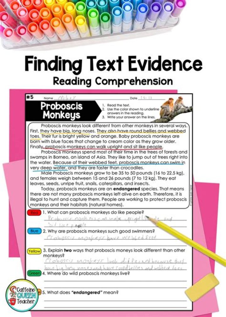 High School Text Evidence Worksheets PDF – Easy Finding Skills Practice