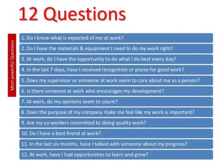 First Break All the Rules 12 Questions PDF – Break Free & Master Your Breakthroughs