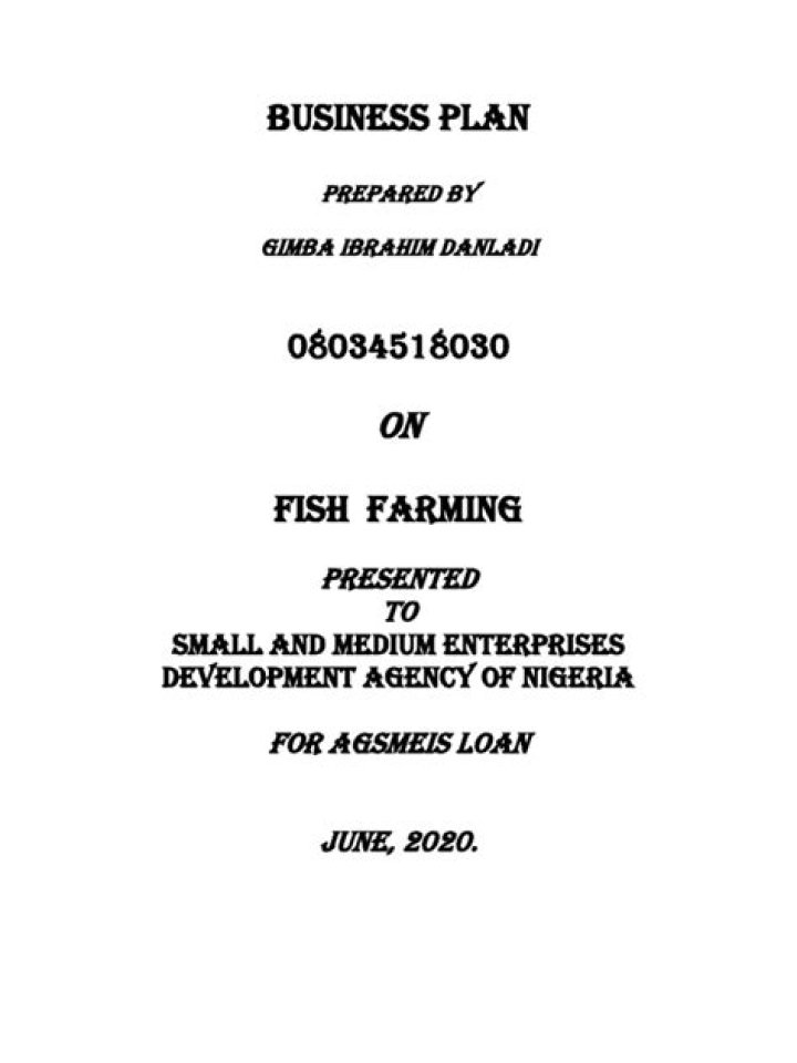 Fish Farming Business Plan Nigeria: Expert PDF Guide