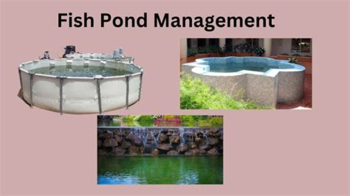 Master Fish Pond Management: Essential PDF Guide