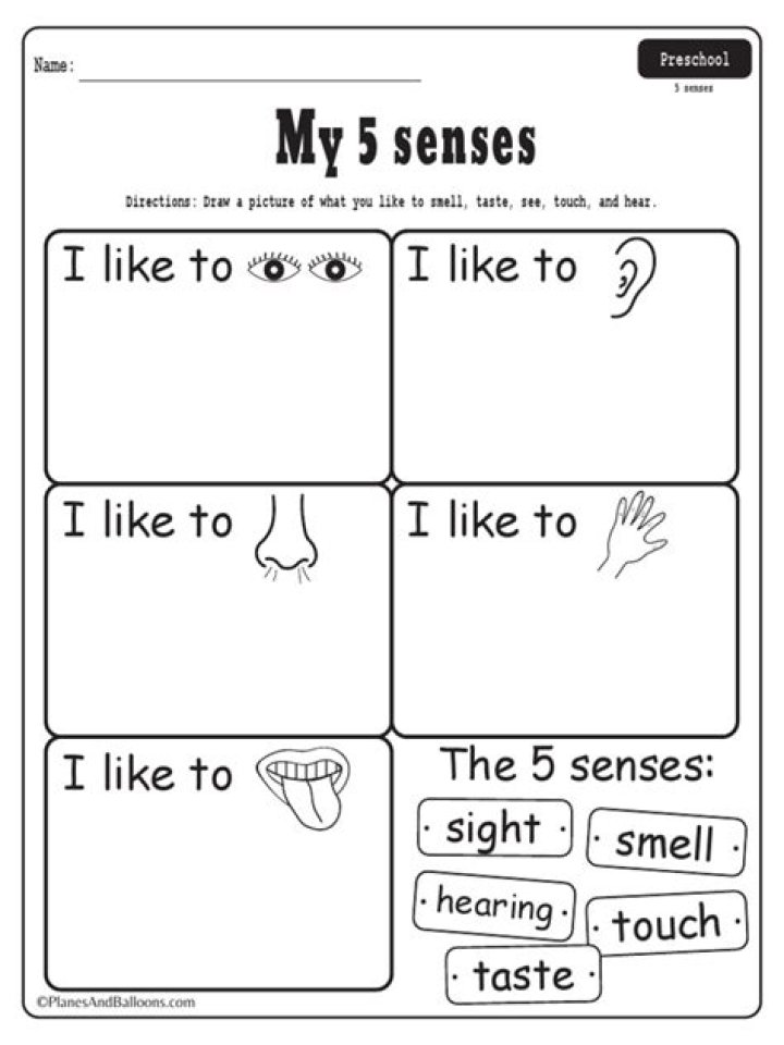 Five Senses Worksheets for Preschool PDF – Free Printable Activities
