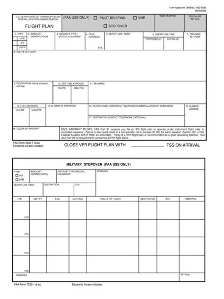 Download Your Flight Plan PDF Form Instantly