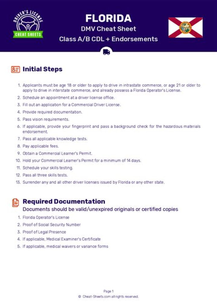 Florida DMV Cheat Sheet PDF: Quick Study Guide & License Tips