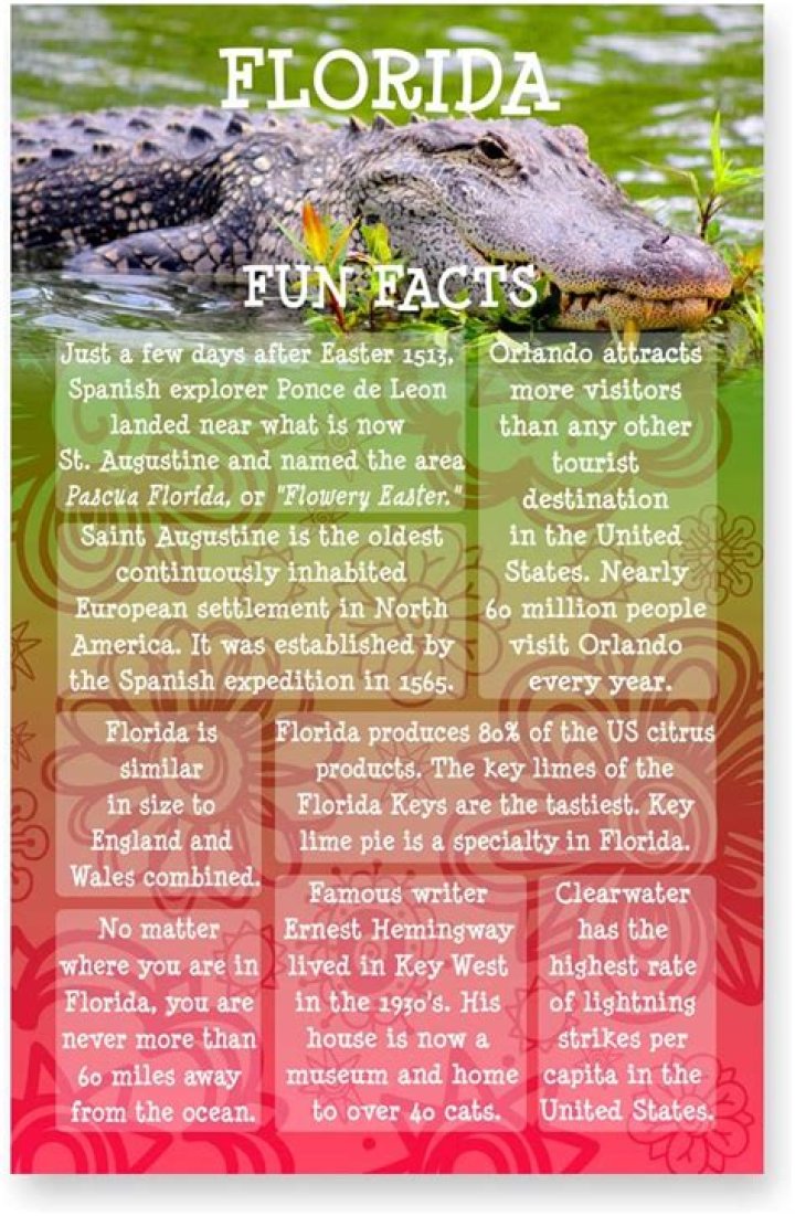 Florida Fun facts by Madeline Hanna