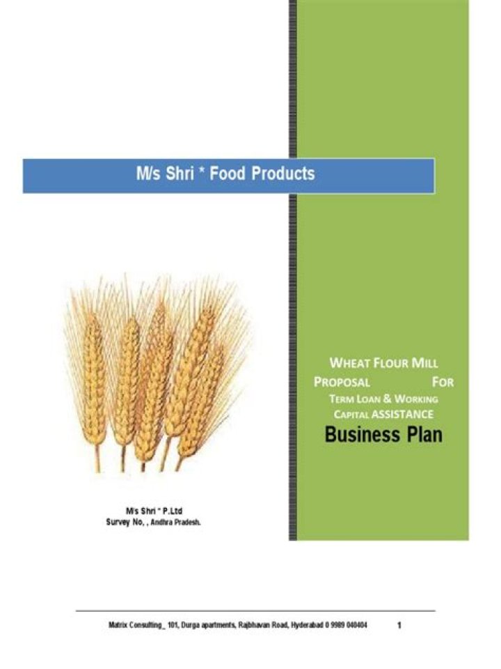 Flour Mill Business Plan PDF: Step-by-Step Guide to Launching a Profitable Business