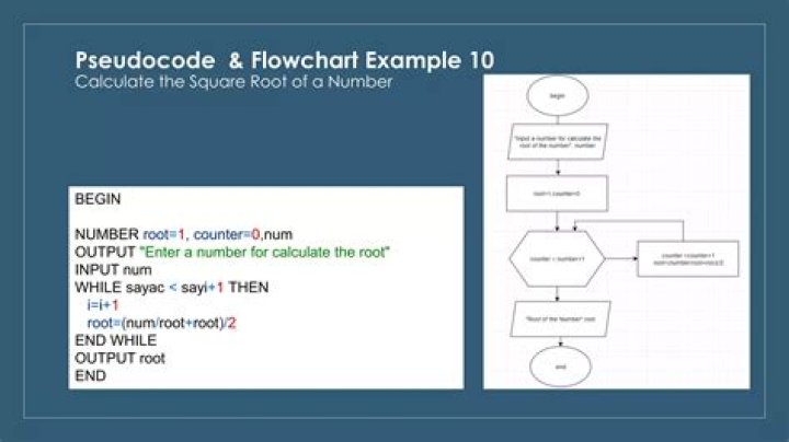 Flowchart and Pseudocode Questions and Answers PDF: Step-by-Step Guide