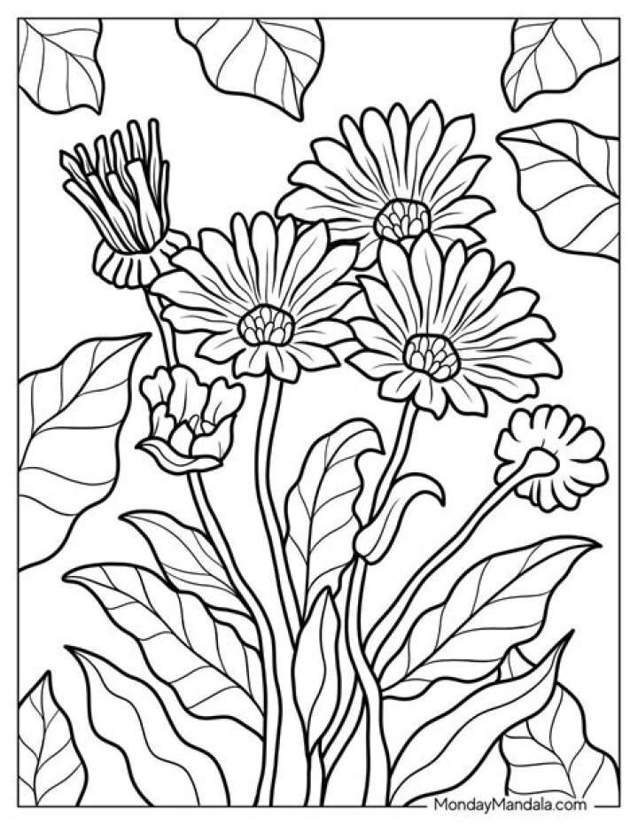 Download Free Flower Coloring Sheet PDF for Kids and Adults