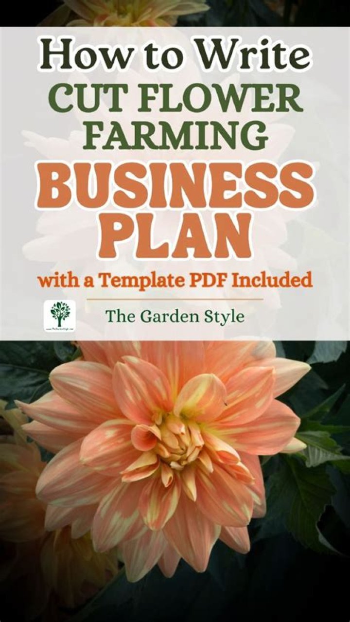 Flower Farm Business Plan PDF: Step-by-Step Guide & Template