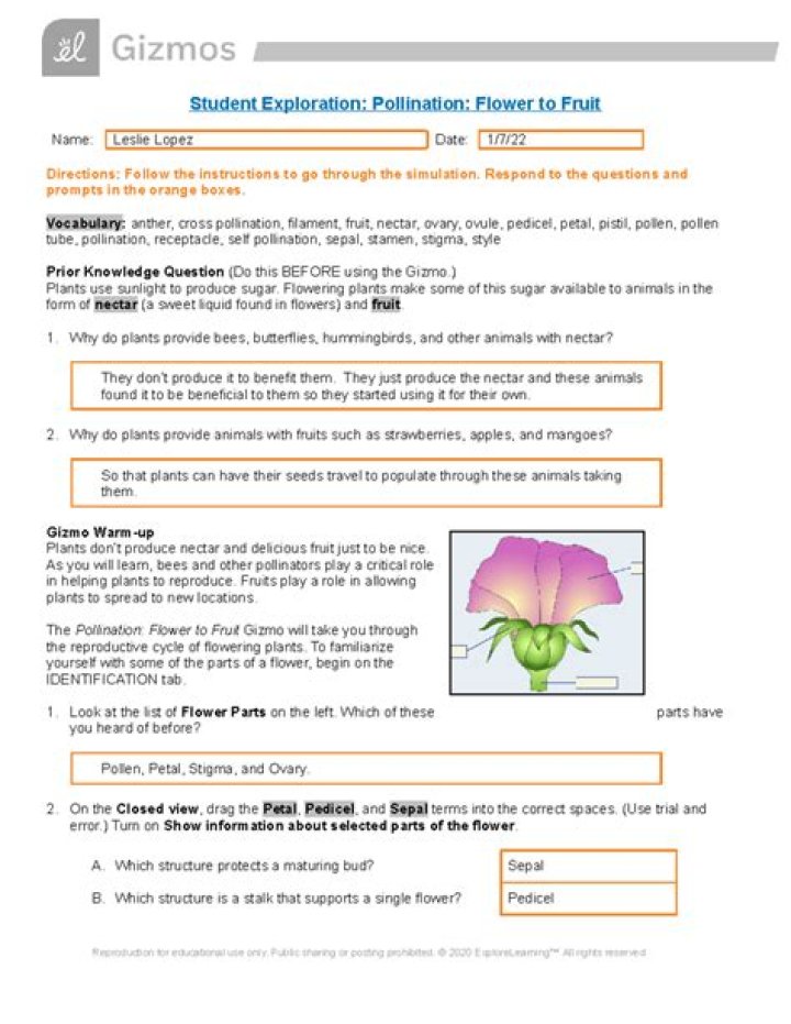 Flower Pollination Gizmo Answer Key PDF – Step-by-Step Guide