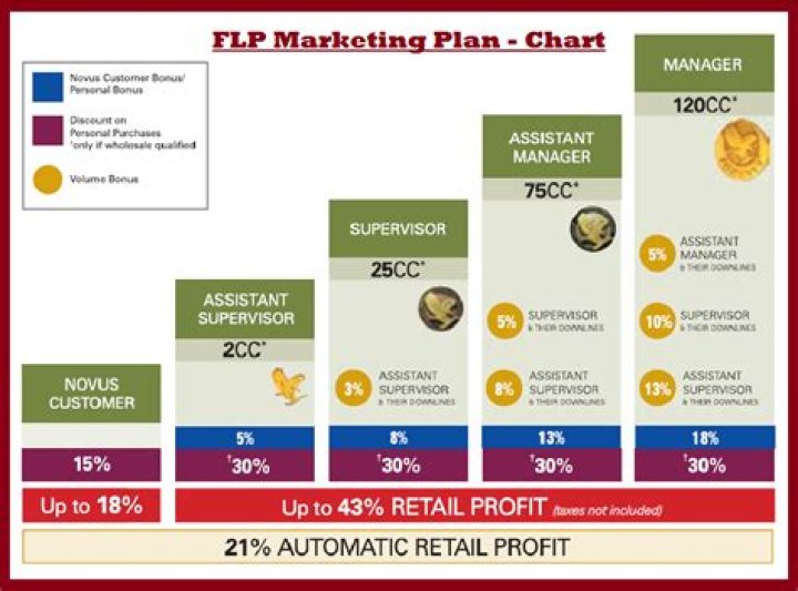 FLP Marketing Plan PDF: Complete Strategy Guide for Success