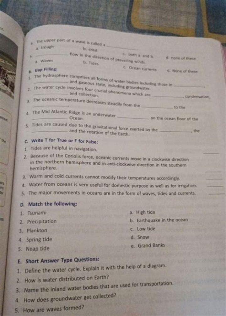 Fluid Flow Questions & Answers: Expert PDF Guide